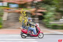 Người dân Đà Nẵng mua sắm hoa trang trí ngày Tết