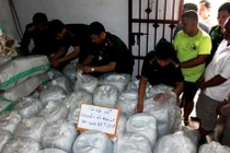 Triệt phá đường dây ma túy cực lớn, thu 5,5 tấn cần sa 