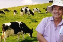 Credit Suisse chính thức rút khỏi danh sách cổ đông lớn của HAG