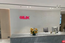 Nhóm cổ đông liên quan tới CEO Nguyễn Văn Tuấn đang nắm giữ tổng cộng 34,09% vốn điều lệ Gelex.