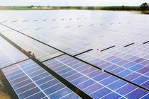 Dự án Nhà máy năng lượng mặt trời Phù Mỹ (Nguồn: BCG)