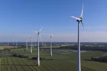 Nhà máy điện gió xanh Sông Cầu, giai đoạn 1 có tổng vốn đầu tư 1.764 tỉ đồng (Nguồn: Internet)