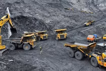 Đại gia lan đột biến kiếm trăm tỉ đồng từ khai thác than lậu