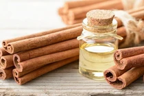 HTC Holding hoạt động chính trong lĩnh vực sản xuất, kinh doanh tinh dầu quế