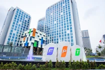 FPT lỗ 30 tỉ đồng từ mảng dịch vụ công nghệ thông tin trong nước