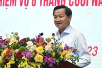 Phó Thủ tướng Lê Minh Khái (Ảnh: VGP)