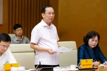 Phó Thống đốc NHNN Đào Minh Tú (Ảnh: VGP)