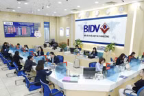 Ảnh minh họa (Nguồn: Internet)