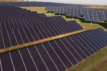 Ảnh minh hoạ (Nguồn: Internet)