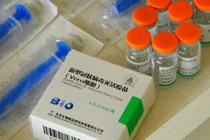 Vaccine COVID-19 Vero Cell (Ảnh - AP)