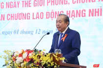 Phó Thủ tướng Thường trực Chính phủ Trương Hoà Bình (Ảnh: Minh Thuý) 