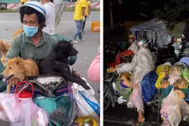 Hình ảnh cặp vợ chồng chở 15 chú chó từ Long An về Cà Mau được chia sẻ trên mạng xã hội (Ảnh - FB) 