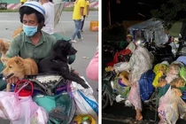 Hình ảnh cặp vợ chồng chở 15 chú chó từ Long An về Cà Mau được chia sẻ trên mạng xã hội (Ảnh - FB) 