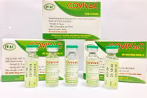 Vaccine phòng COVID-19 COVIVAC (Ảnh- IVAC) 