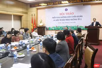 Hội thảo triển khai hướng dẫn chẩn đoán và điều trị đái tháo đường típ 2 (Ảnh: Minh Thuý) 