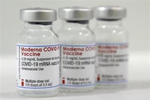 Vaccine moderna (Ảnh - RT) 