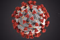 Mô hình virus SARS-CoV-2 (Ảnh - AFP)