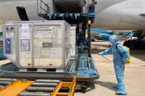 Lô vaccine phòng COVID-19 đầu tiên về Việt Nam (Ảnh - Đình Anh) 