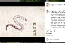 Angela Phương Trinh quảng cáo địa long chữa được COVID-19 trên instagram (Ảnh - VT) 