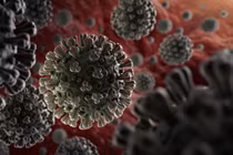 Virus SARS-CoV-2. Ảnh: Getty Images