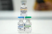 Vaccine phòng COVID-19 Nanocovax (Ảnh - SH)