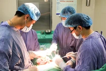 Các bác sĩ phẫu thuật dương vật cho bệnh nhân (Ảnh - BVCC) 