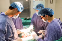 Các bác sĩ phẫu thuật dương vật cho bệnh nhân (Ảnh - BVCC) 