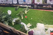 Cung không đủ cầu thực phẩm cho người dân TP.HCM đang thiếu trầm trọng - Ảnh: HB 