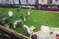 Cung không đủ cầu thực phẩm cho người dân TP.HCM đang thiếu trầm trọng - Ảnh: HB 