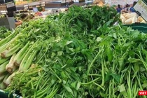 Nguồn cung ứng rau xanh và thực phẩm tươi sống cho TP.HCM bị thiếu trầm trọng trong những ngày vừa rồi - Ảnh: Hoà Bình 