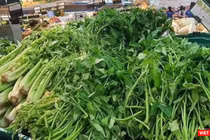 Nguồn cung ứng rau xanh và thực phẩm tươi sống cho TP.HCM bị thiếu trầm trọng trong những ngày vừa rồi - Ảnh: Hoà Bình 