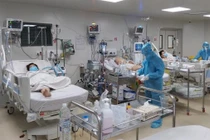 Điều trị bệnh nhân COVID-19 nặng - Ảnh: HCDC