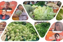 Thúc đẩy việc đưa nông sản thực phẩm tới tay người dân TP.HCM. 