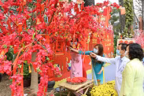 Đường hoa Xuân tại BV Chợ Rẫy do chính tay y bác sĩ thực hiện (Ảnh: BVCC) 