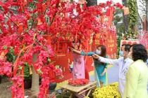 Đường hoa Xuân tại BV Chợ Rẫy do chính tay y bác sĩ thực hiện (Ảnh: BVCC) 