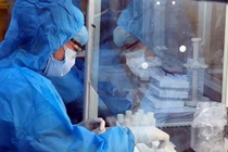 Xét nghiệm khẩn cấp cho cư dân trong chùm siêu lây nhiễm liên quan đến Hội thánh truyền đạo Phục hưng - Ảnh: HCDC