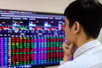 Các công ty chứng khoán ưa thích nhóm ngành, cổ phiếu nào trong năm 2024?