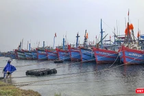 Từ trưa nay (25/10), Quảng Nam cấm biển để ứng phó với bão Trà Mi