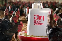 Masan Group muốn huy động 1 tỷ USD cho mảng thức ăn chăn nuôi