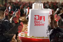 Masan Group muốn huy động 1 tỷ USD cho mảng thức ăn chăn nuôi