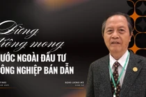 GS Đặng Lương Mô: Đừng trông mong nước ngoài đầu tư công nghiệp bán dẫn, vi mạch