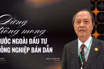 GS Đặng Lương Mô: Đừng trông mong nước ngoài đầu tư công nghiệp bán dẫn, vi mạch