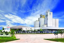 Vì sao bê bối lợn bệnh khiến khách hàng quay lưng với C.P.?