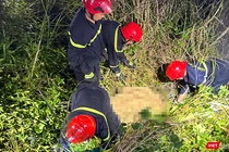 Du khách tử vong sau tai nạn dù lượn trên bán đảo Sơn Trà (Đà Nẵng).