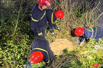 Du khách tử vong sau tai nạn dù lượn trên bán đảo Sơn Trà (Đà Nẵng).