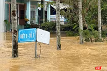 Mưa gây ngập cho 66.813 hộ dân trên địa bàn các xã phường ở Đà Nẵng