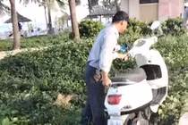 Hình ảnh nhân viên trật tự Ban quản lý bán đảo Sơn Trà và các bãi biển du lịch Đà Nẵng cố gắng di chuyển xe máy để sai quy định, ảnh hưởng lối đi bộ của du khách.