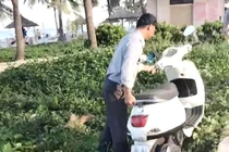 Hình ảnh nhân viên trật tự Ban quản lý bán đảo Sơn Trà và các bãi biển du lịch Đà Nẵng cố gắng di chuyển xe máy để sai quy định, ảnh hưởng lối đi bộ của du khách.