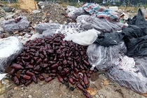 Hàng trăm sản phẩm thuốc diện thu hồi của Công ty dược Trung ương 3 vứt lăn lóc trên đường ở Đà Nẵng.