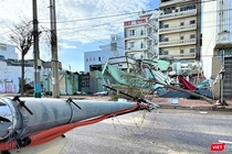 Cột điện tại phường Quy Nhơn, tỉnh Gia Lai bị bão số 13 quật ngã.